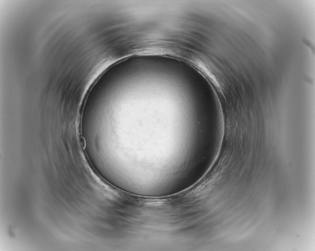 X0000093381484200710251205