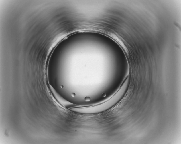 X0000093381485200710251205