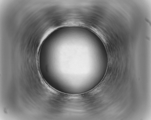 X0000093381486200710251205