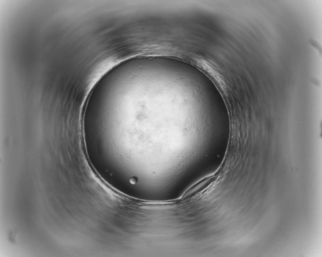 X0000093381487200710251205