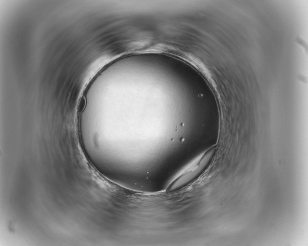 X0000093381488200710251205