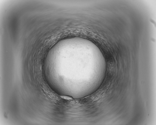 X0000093381489200710251204