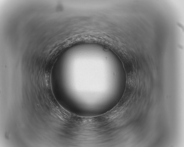 X0000093381490200710251204