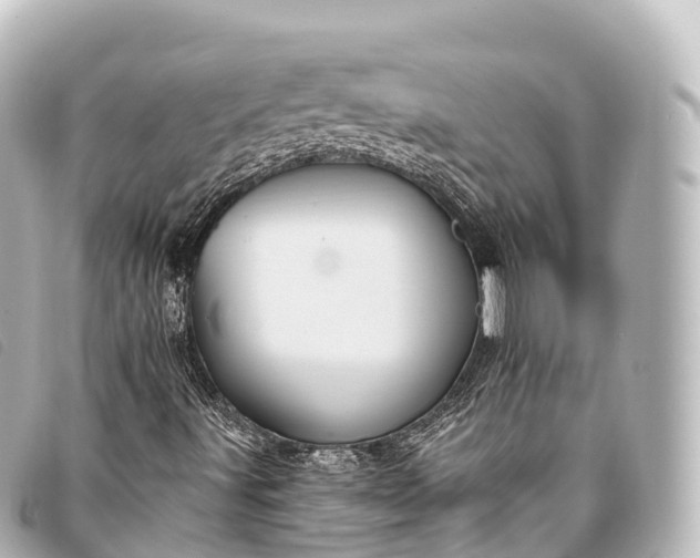 X0000093381491200710251204