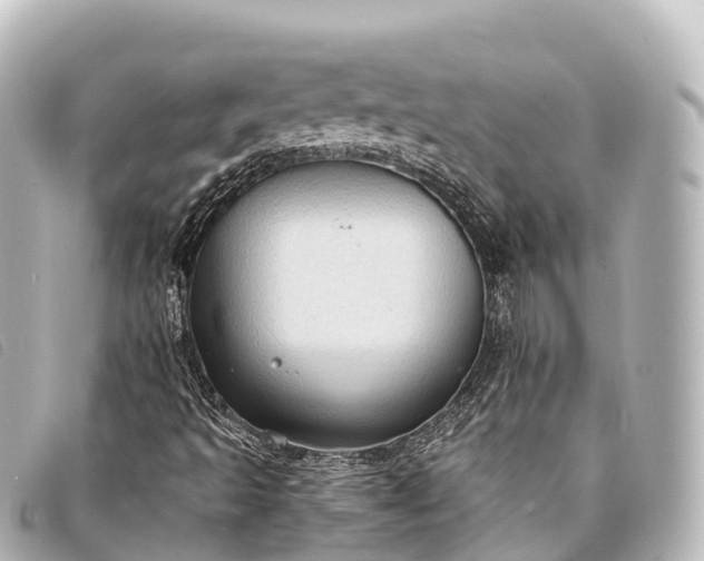 X0000093381493200710251204