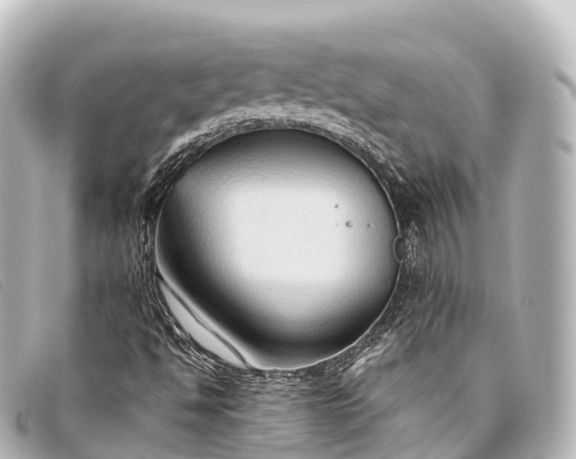 X0000093381494200710251204