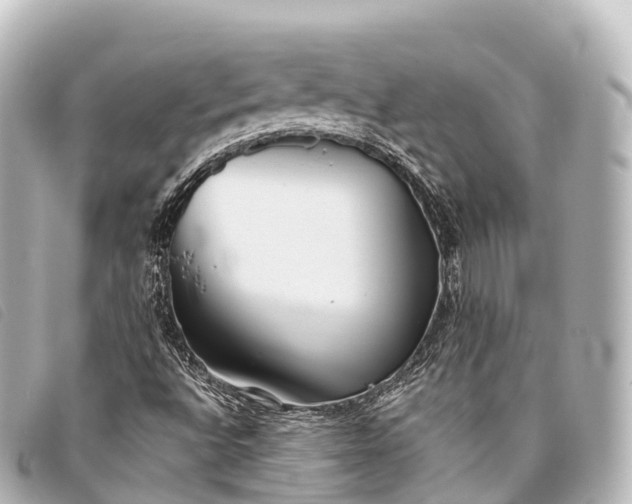 X0000093381496200710251204