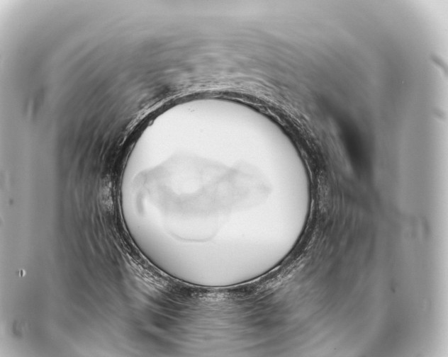 X0000093381497200710251204