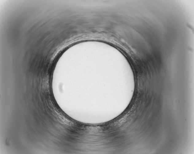 X0000093381498200710251204