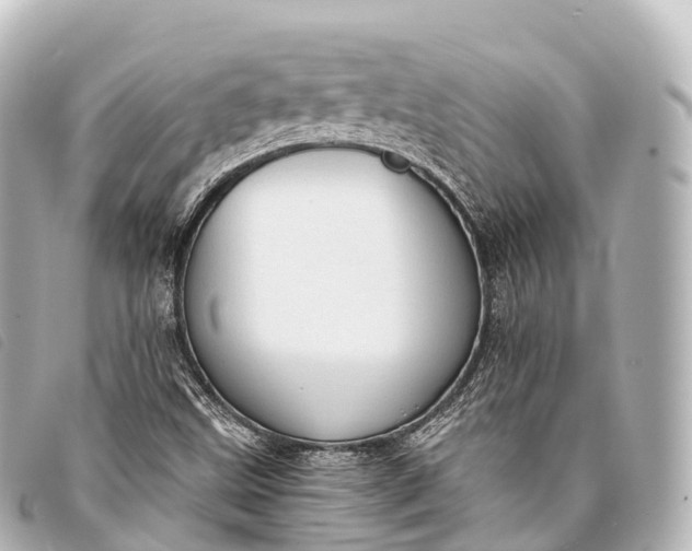 X0000093381499200710251205