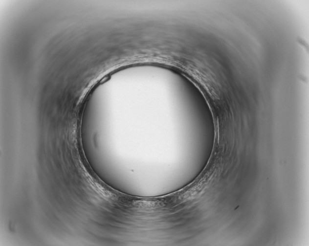 X0000093381500200710251205