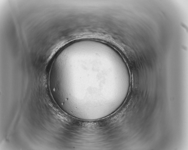 X0000093381501200710251205