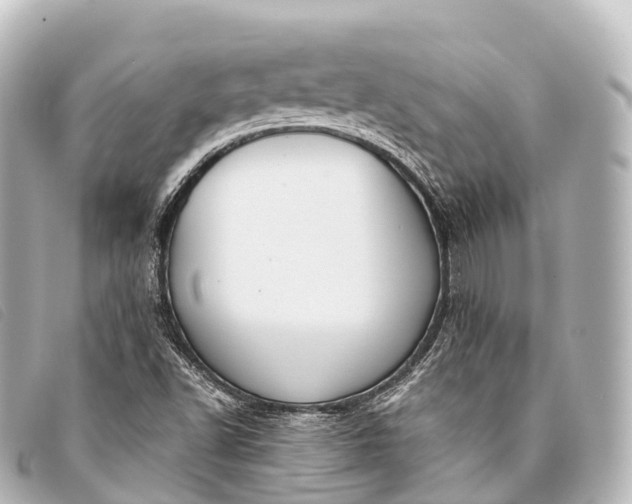 X0000093381502200710251205