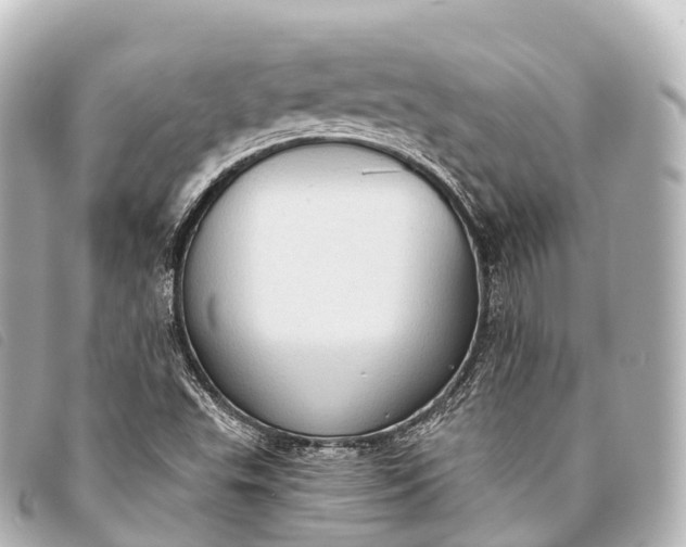 X0000093381503200710251205