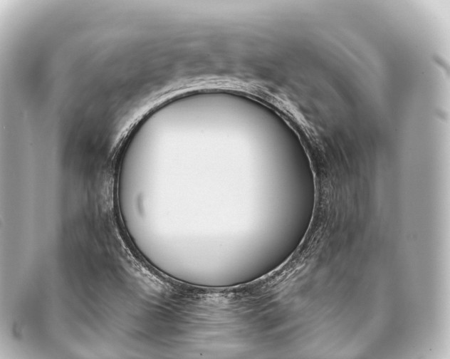 X0000093381504200710251205