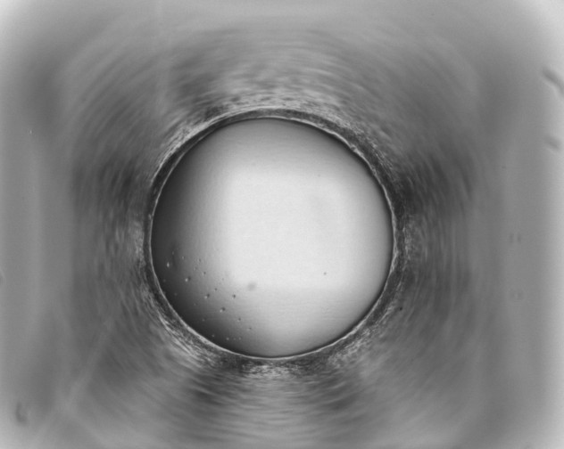 X0000093381505200710251205