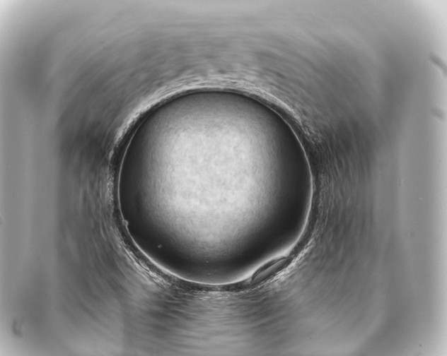 X0000093381506200710251205