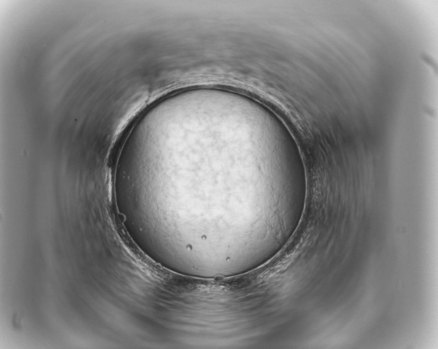 X0000093381509200710251205