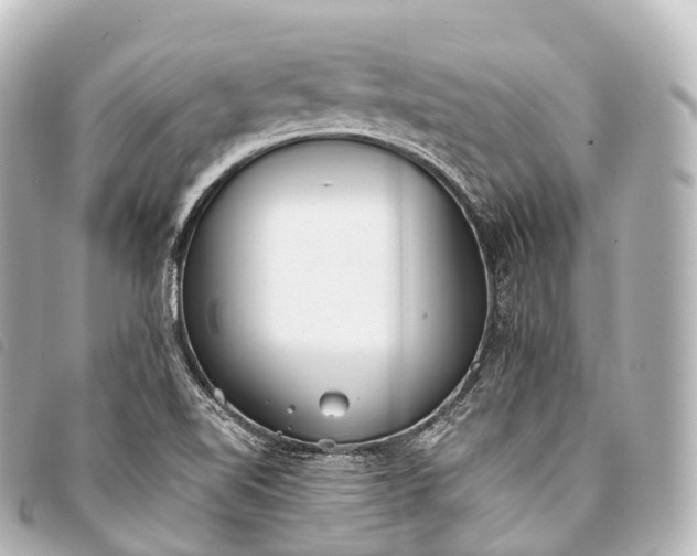 X0000093381510200710251205