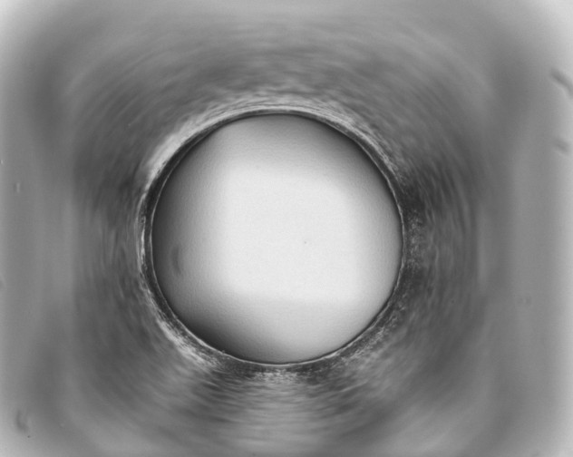 X0000093381511200710251205