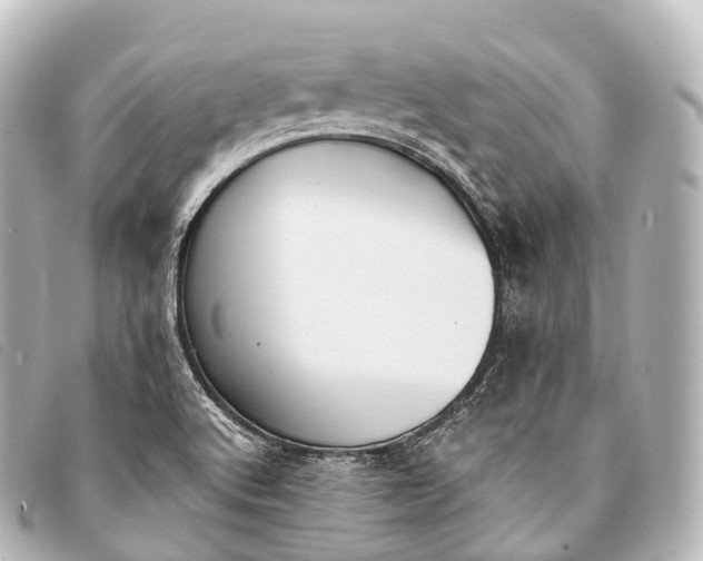 X0000093381512200710251205