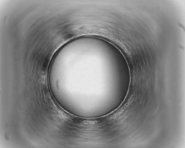 X0000093381513200710251205