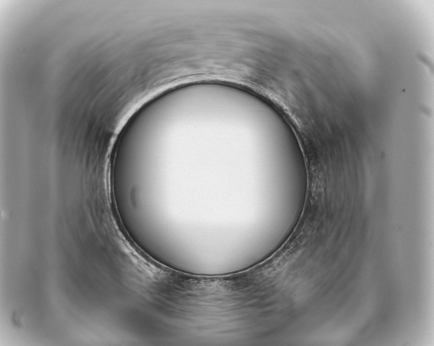 X0000093381516200710251205