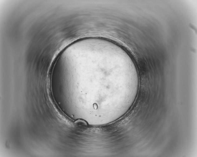 X0000093381517200710251205