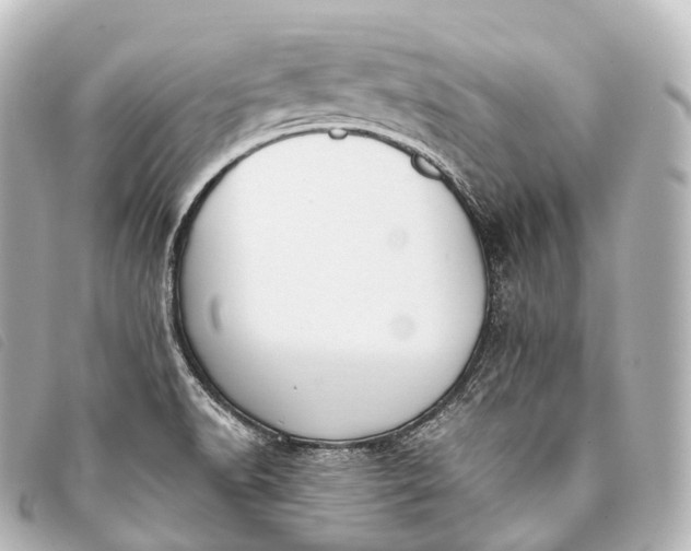 X0000093381518200710251205