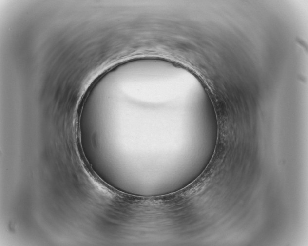 X0000093381519200710251205