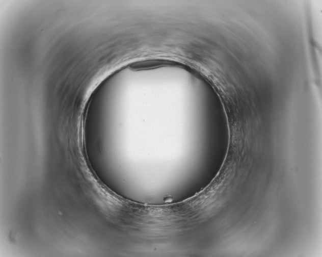 X0000093381520200710251205