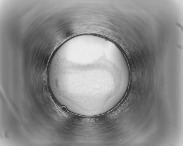 X0000093381521200710251205