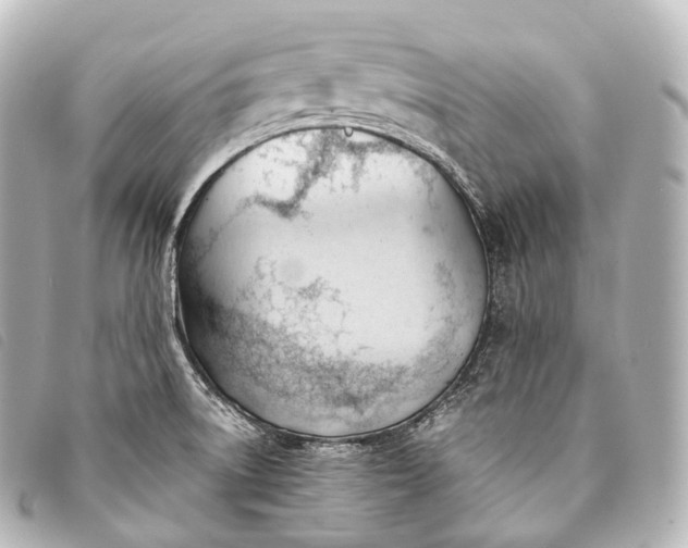 X0000093381522200710251205