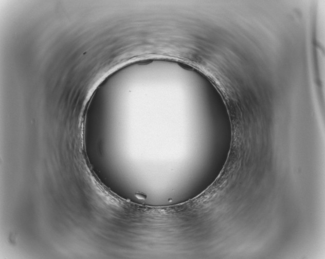 X0000093381524200710251205