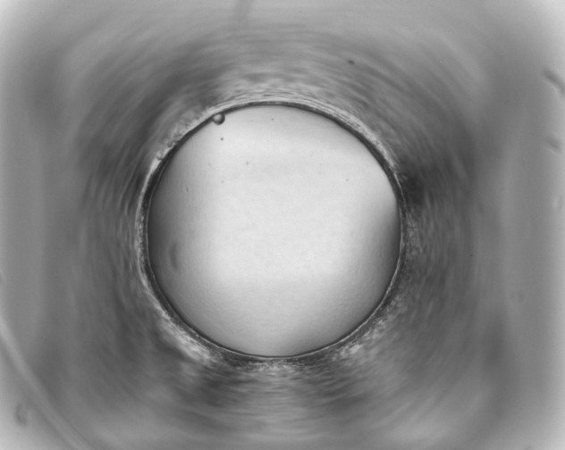 X0000093381525200710251205