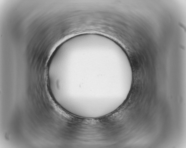 X0000093381526200710251205