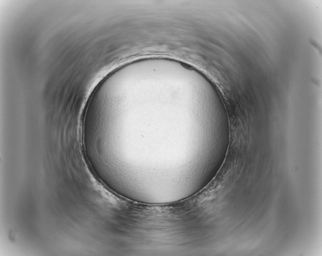 X0000093381527200710251205