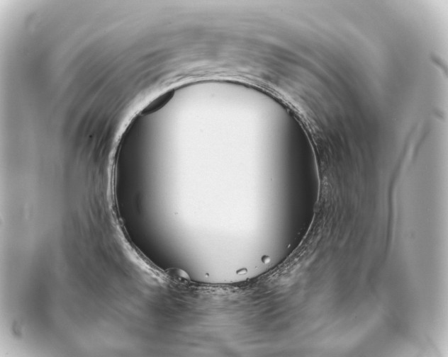 X0000093381528200710251205