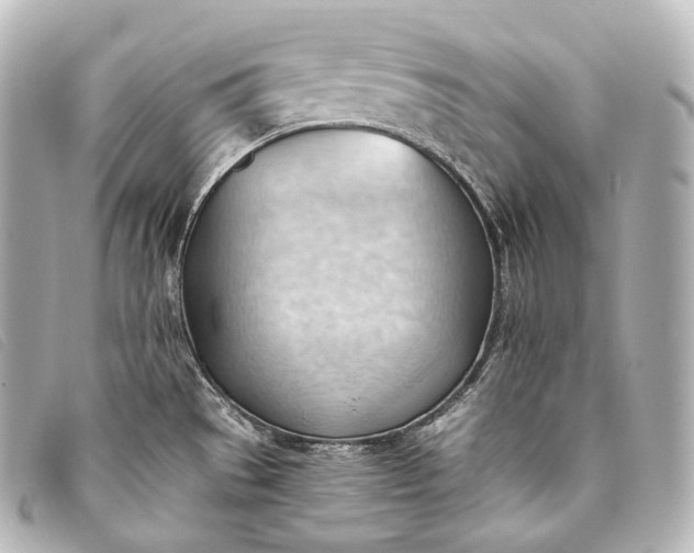 X0000093381529200710251205