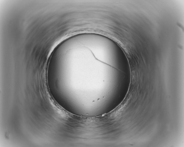 X0000093381530200710251205