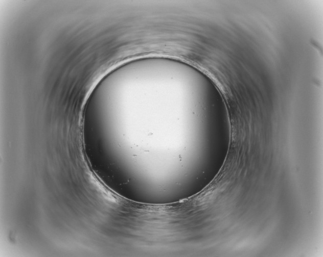 X0000093381532200710251205