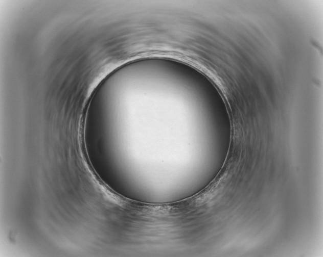 X0000093381533200710251205