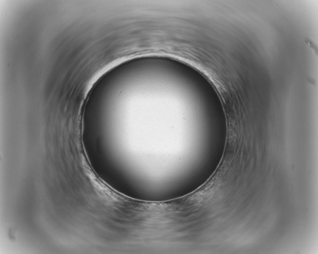 X0000093381534200710251205