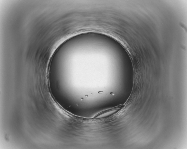 X0000093381535200710251205