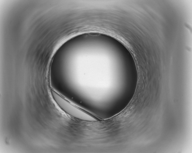 X0000093381536200710251205