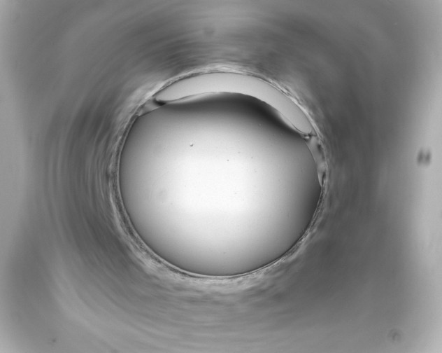 X0000093380001200711011259