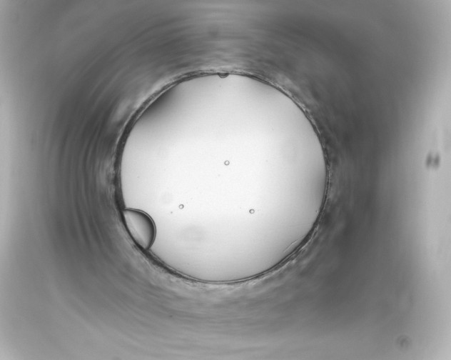 X0000093380002200711011259