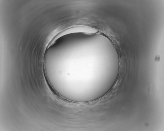 X0000093380003200711011259