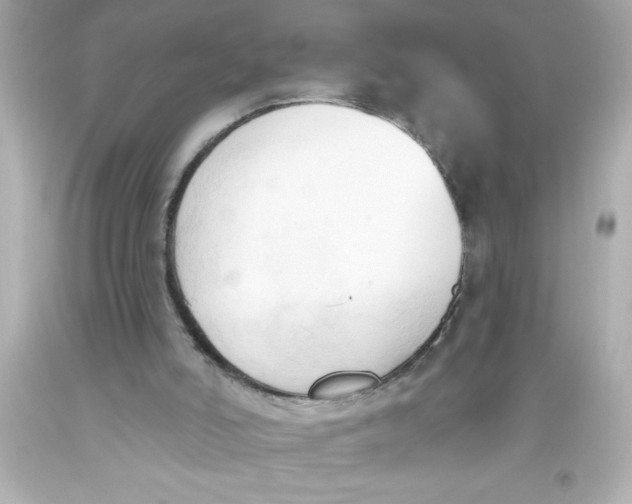 X0000093380006200711011259