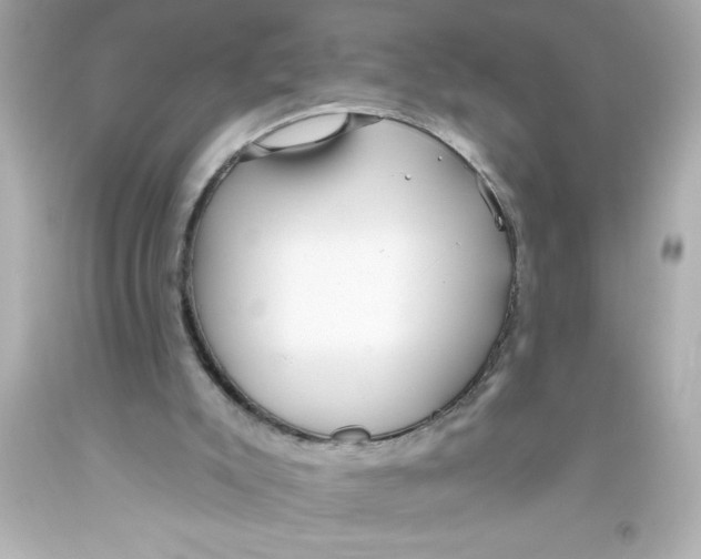 X0000093380007200711011259